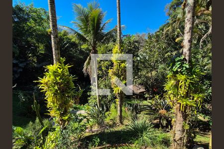 Casa para alugar com 500m², 8 quartos e 5 vagas Casa para alugar com 500m², 8 quartos e 5 vagasÁrea externa