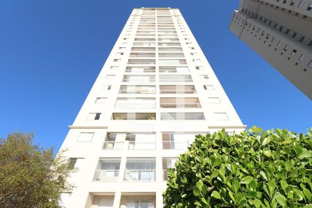 Área comum - Piscina de apartamento para alugar com 2 quartos, 94m² em Vila Leopoldina, São Paulo