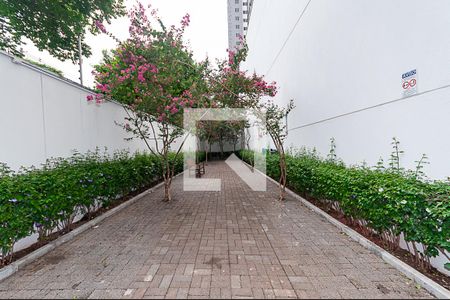 Apartamento à venda com 65m², 2 quartos e 1 vagaÁrea Comum - Pet Place