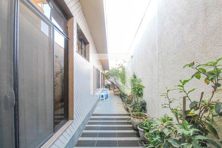 Casa à venda com 350m², 5 quartos e 6 vagasÁrea Externa 