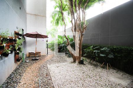 Studio para alugar com 26m², 1 quarto e sem vagaÁrea comum - Espaço Pet