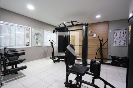 Apartamento para alugar com 35m², 1 quarto e sem vagaÁrea comum - Academia