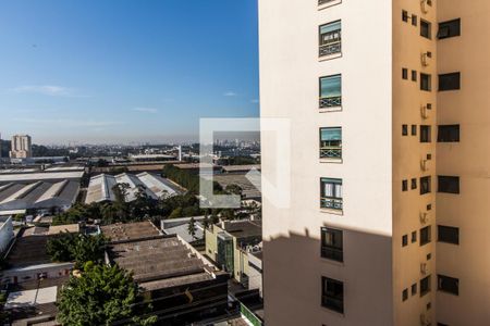 Apartamento para alugar com 101m², 3 quartos e 2 vagasVista do Quarto 3