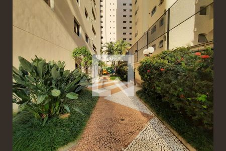 Apartamento para alugar com 236m², 4 quartos e 4 vagasÁrea comum