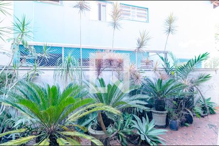 Casa para alugar com 190m², 3 quartos e 1 vaga Casa para alugar com 190m², 3 quartos e 1 vagaQuintal