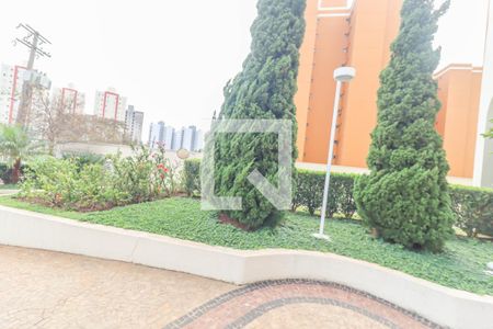 Apartamento à venda com 117m², 3 quartos e 3 vagasÁrea comum