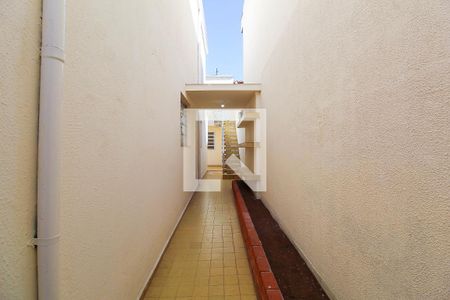 Casa à venda com 196m², 4 quartos e 2 vagas Casa à venda com 196m², 4 quartos e 2 vagasQuintal