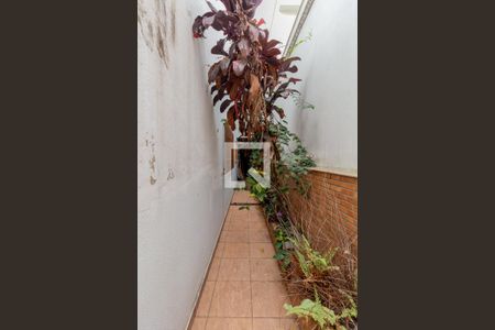 Casa à venda com 287m², 6 quartos e 6 vagas Casa à venda com 287m², 6 quartos e 6 vagasCorredor