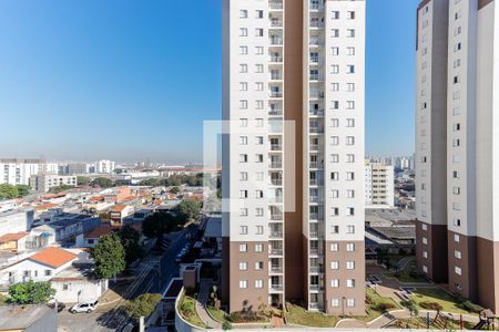 Vista de apartamento para alugar com 3 quartos, 62m² em Vila Guilherme, São Paulo