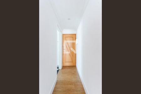 Corredor Entrada de apartamento para alugar com 3 quartos, 62m² em Vila Guilherme, São Paulo