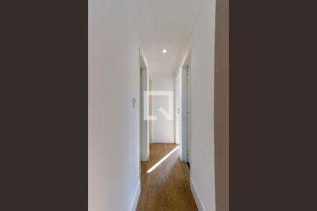 Corredor Quartos de apartamento para alugar com 3 quartos, 62m² em Vila Guilherme, São Paulo