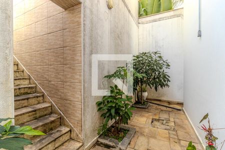 Casa à venda com 441m², 5 quartos e 4 vagasQuintal