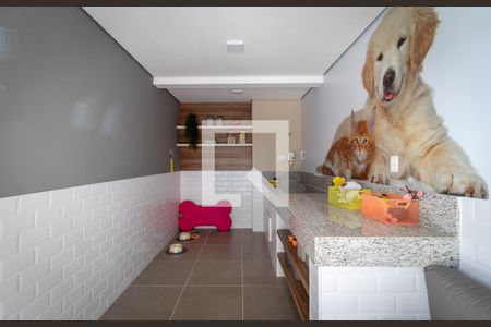 Apartamento para alugar com 28m², 1 quarto e sem vagaÁrea comum - Pet Care