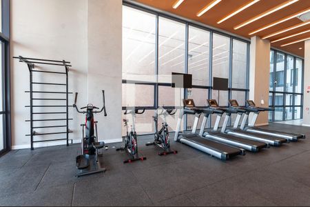 Apartamento para alugar com 39m², 1 quarto e sem vaga Apartamento para alugar com 39m², 1 quarto e sem vagaÁrea Comum - Academia