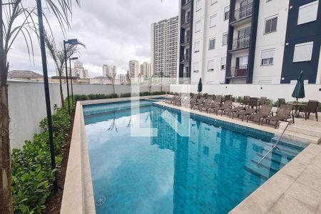 Área comum - Piscina de apartamento para alugar com 2 quartos, 39m² em Curicica, São Paulo