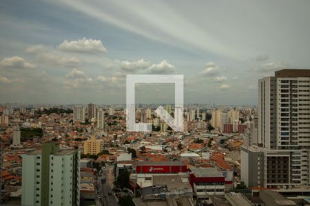 Studio para alugar com 24m², 1 quarto e sem vagaVista