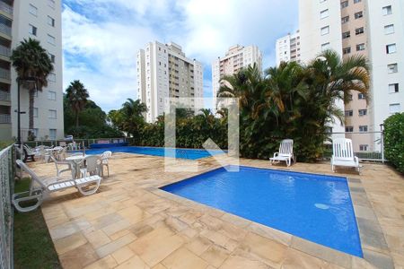 Área comum - Piscina de apartamento para alugar com 2 quartos, 61m² em Loteamento Chácara Prado, Campinas