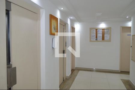 Apartamento para alugar com 57m², 3 quartos e 1 vagaElevadores