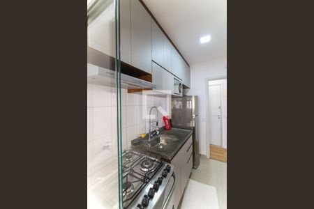 Apartamento para alugar com 45m², 2 quartos e 1 vagaCozinha