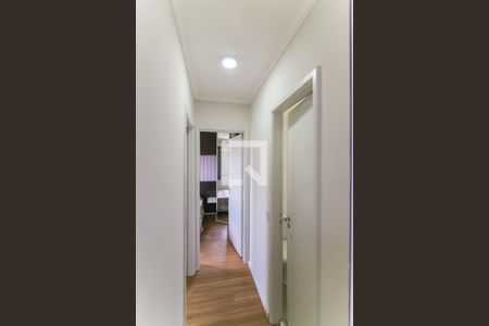 Corredor de apartamento para alugar com 2 quartos, 45m² em Jardim Ampliação, São Paulo