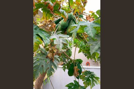 Casa à venda com 260m², 4 quartos e 6 vagas Casa à venda com 260m², 4 quartos e 6 vagasJardim