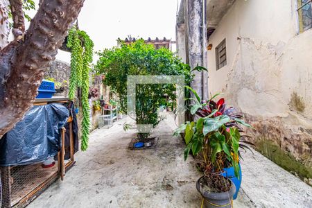 Casa à venda com 250m², 2 quartos e 1 vagaQuintal