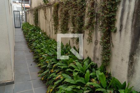 Casa para alugar com 190m², 4 quartos e 2 vagas Casa para alugar com 190m², 4 quartos e 2 vagasQuintal