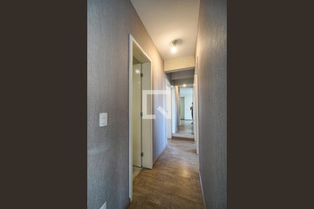 Corredor dos quartos de apartamento para alugar com 3 quartos, 97m² em Vila Gomes Cardim, São Paulo