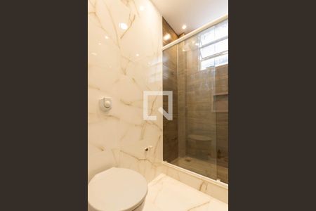 Banheiro de apartamento para alugar com 1 quarto, 34m² em São Cristóvão, Rio de Janeiro