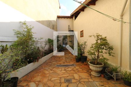 Casa à venda com 195m², 3 quartos e 3 vagasQuintal