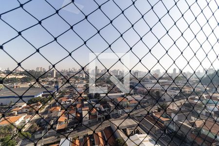 Apartamento à venda com 75m², 3 quartos e 1 vaga Apartamento à venda com 75m², 3 quartos e 1 vagaVista da Suíte