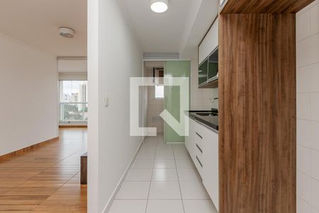 Apartamento à venda com 67m², 2 quartos e 1 vaga Apartamento à venda com 67m², 2 quartos e 1 vagaCozinha