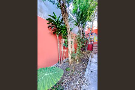 Casa à venda com 300m², 3 quartos e 2 vagasÁrea externa