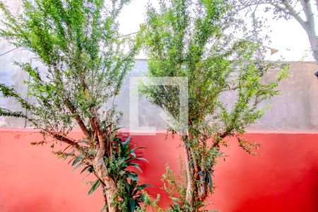 Casa à venda com 300m², 3 quartos e 2 vagasvista da Cozinha