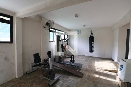 Apartamento para alugar com 90m², 3 quartos e 2 vagas Apartamento para alugar com 90m², 3 quartos e 2 vagasÁrea comum - Academia