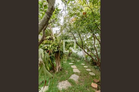 Casa à venda com 440m², 3 quartos e 10 vagasQuintal