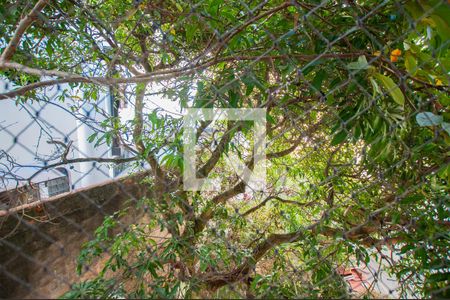 Apartamento à venda com 66m², 3 quartos e 1 vaga Apartamento à venda com 66m², 3 quartos e 1 vagaVista do Quarto 3