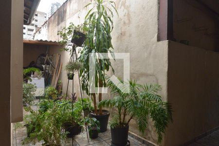 Casa para alugar com 240m², 3 quartos e 5 vagasÁrea externa