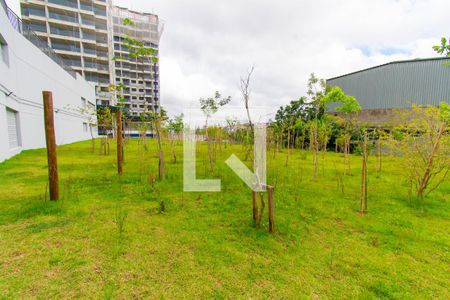 Área comum - Redário de apartamento para alugar com 2 quartos, 45m² em Vila Formosa, São Paulo