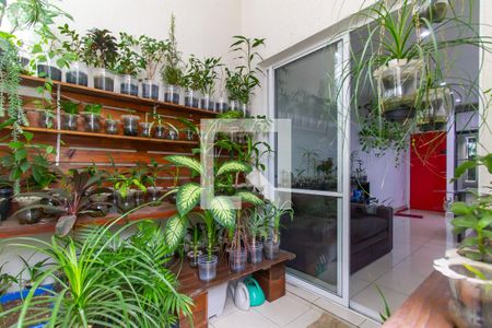 Varanda de apartamento à venda com 2 quartos, 70m² em Bom Retiro, São Paulo