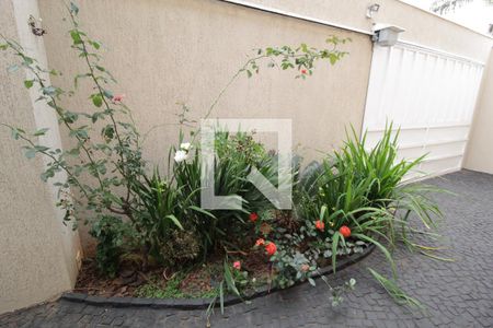 Casa para alugar com 227m², 4 quartos e 4 vagasJardim