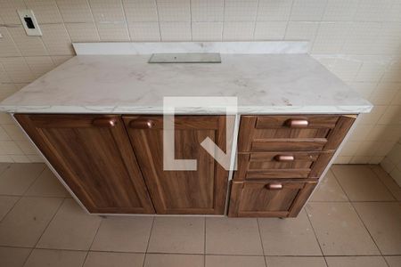 Cozinha e Área de Serviço de apartamento para alugar com 2 quartos, 60m² em Vila Celeste, São Paulo