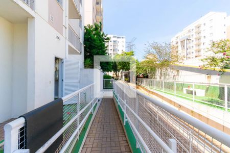 Apartamento para alugar com 50m², 2 quartos e 1 vagaÁrea comum 