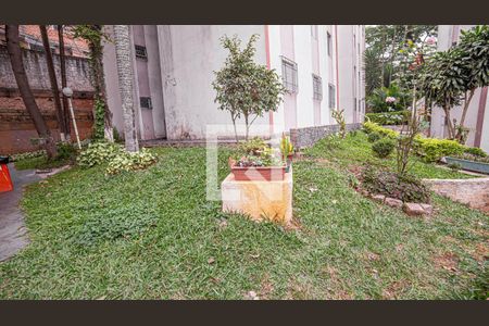 Apartamento para alugar com 62m², 3 quartos e 1 vagaÁrea comum