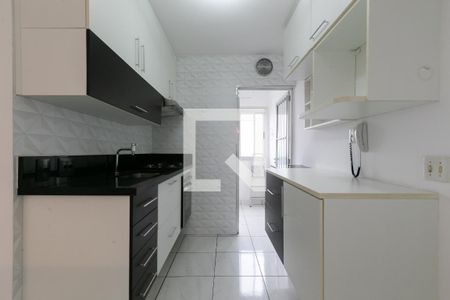 Apartamento à venda com 47m², 2 quartos e 1 vagaCozinha - Armários