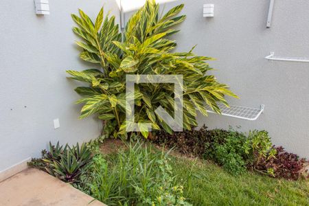 ÁREA EXTERNA FUNDOS de casa de condomínio para alugar com 3 quartos, 418m² em Loteamento Parque dos Alecrins, Campinas