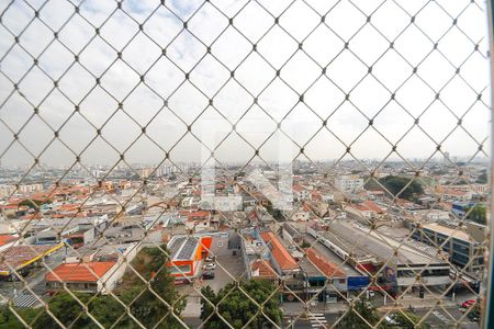 Vista de apartamento à venda com 3 quartos, 75m² em Parque São Lucas, São Paulo