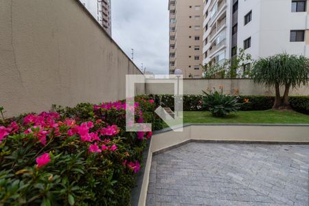 Apartamento à venda com 76m², 2 quartos e 1 vaga Apartamento à venda com 76m², 2 quartos e 1 vagaÁrea Comum - Área Verde