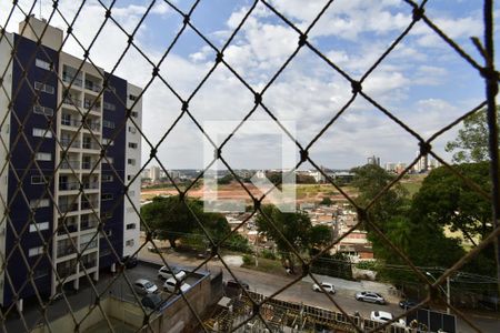 Quarto 1 - Vista de apartamento para alugar com 3 quartos, 83m² em Jardim das Paineiras, Campinas