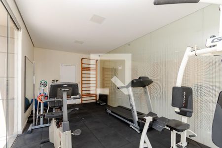 Apartamento para alugar com 50m², 2 quartos e 1 vagaAcademia